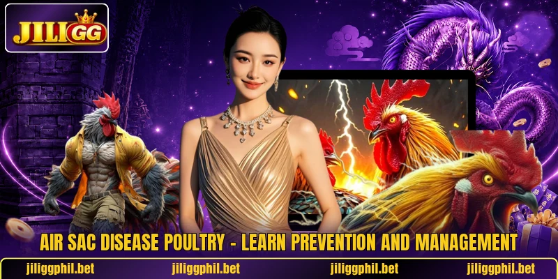 Air Sac Disease Poultry – Learn Prevention And Management 1 Air Sac Disease Poultry – Learn Prevention And Management