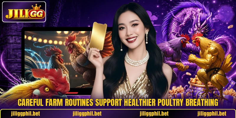 Careful farm routines support healthier poultry breathing Careful farm routines support healthier poultry breathing