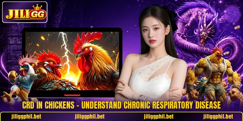 CRD In Chickens – Understand Chronic Respiratory Disease 2 CRD In Chickens – Understand Chronic Respiratory Disease
