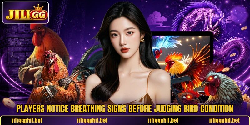 Players notice breathing signs before judging bird condition Players notice breathing signs before judging bird condition